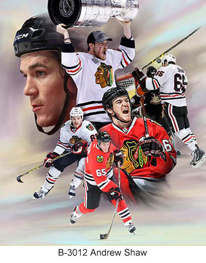 B-3012-Andrew Shaw