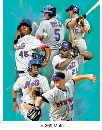 N-269-Mets