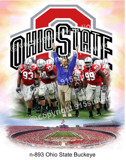 N-893-Ohio State Buckeye