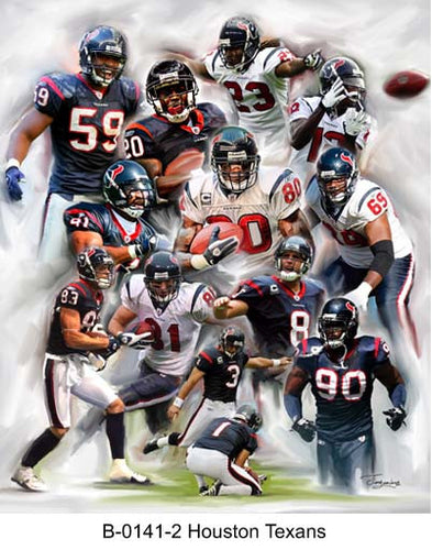 B-0141-2-Houston Texans