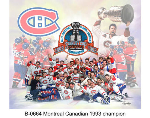 B-0664-Montreal Canadian 1993 champion