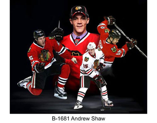 B-1681-Andrew Shaw