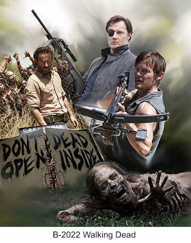 B-2022 Walking Dead 2