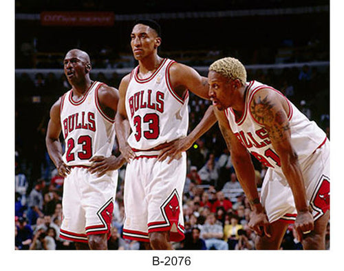 B-2076-Bulls