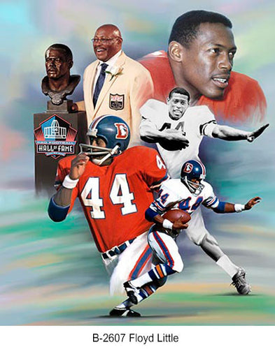 B-2607-Floyd Little