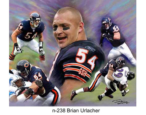 N-238-Brian Urlacher