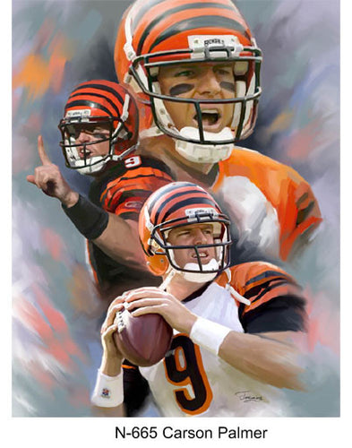 N-665-Carson Palmer