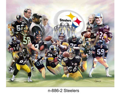 N-886-2-Steelers