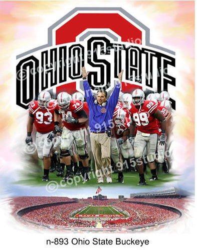 N-893-Ohio State Buckeye