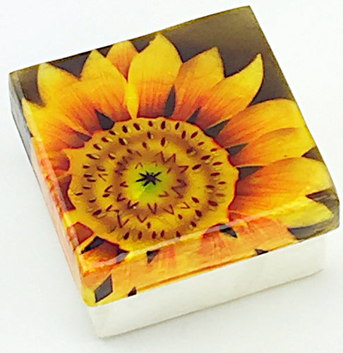 Sunflower Shell Box